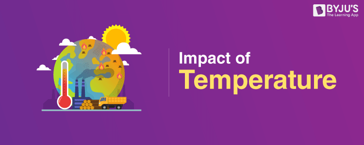 découvrez l'impact des températures sur notre environnement, la biodiversité et la santé humaine. analyse des effets des variations climatiques et des solutions pour atténuer leurs conséquences.